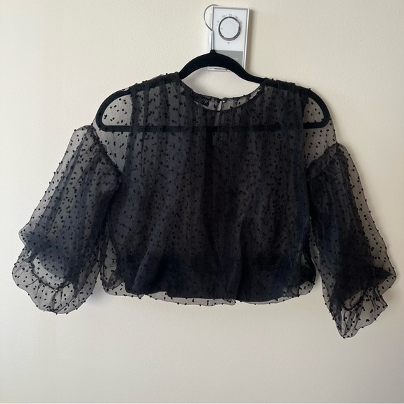 Zara Sheer Black Polka Dot Blouse - Picture 7 of 8